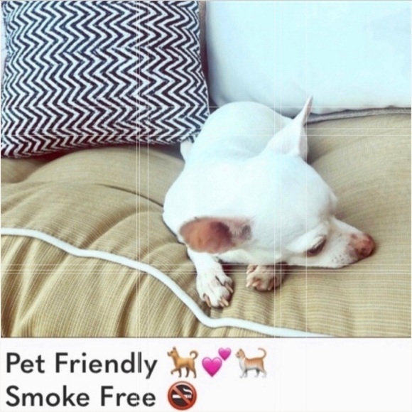 LOFT mauve pink cropped jeans flaw - Picture 11 of 11